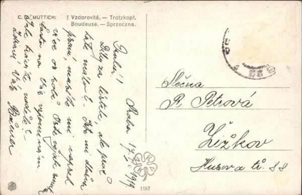 Trachten Frau und Mann – Bild 2