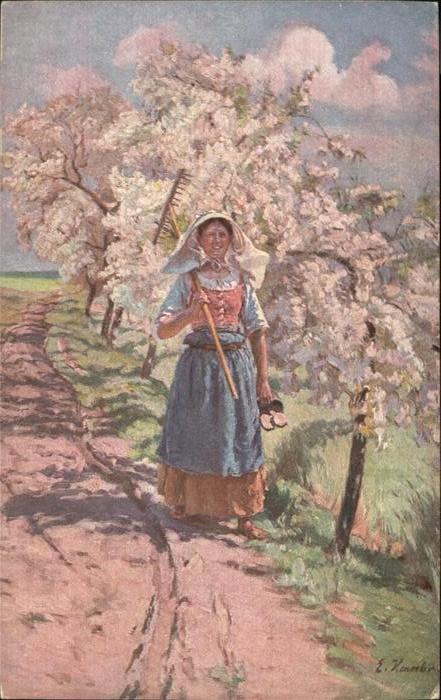 Landwirtschaft Baumblüte