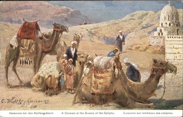 Kamel  Camel Chameau Caravane