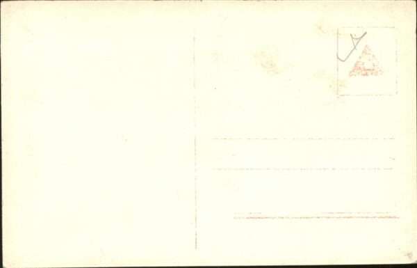 Renntier Lappefamilie – Bild 2