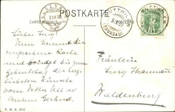 Pferde – Bild 2