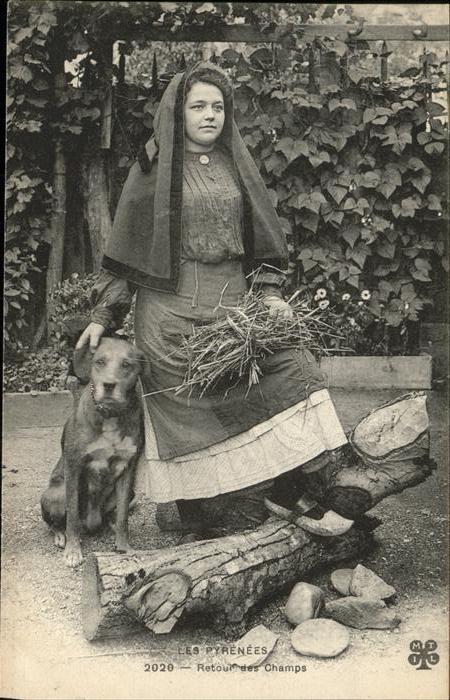 Hunde Frau