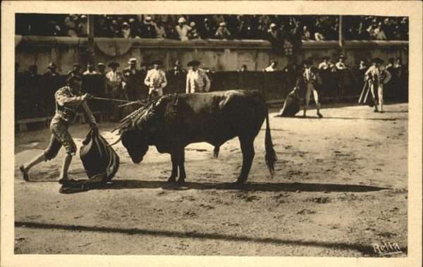 Stierkampf Arenes des Nimes