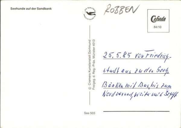 Seehunde Robben – Bild 2