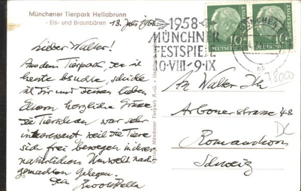 Baeren Münchner Tierpark Hellabrunn – Bild 2