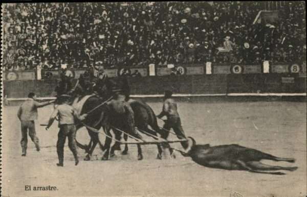 Stierkampf Pferde El arrastre