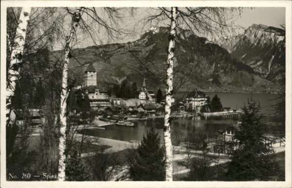Spiez BE Panorama