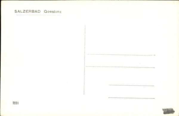 Salzerbad Goesiana – Bild 2
