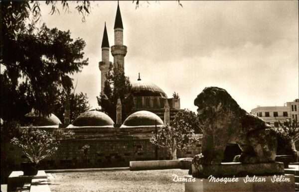 Damas Damaskus Syria Mosquee sultan Selim