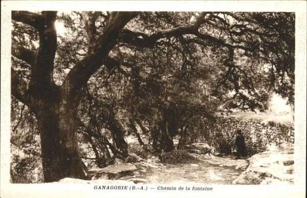 Ganagobie Chemin de la fontaine