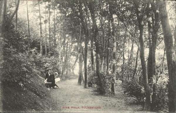 Folkestone Pine Walk