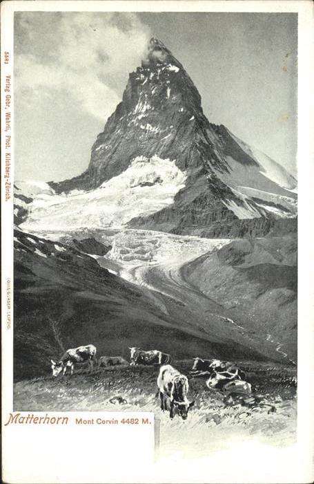 Matterhorn VS Mont Cervin Kühe