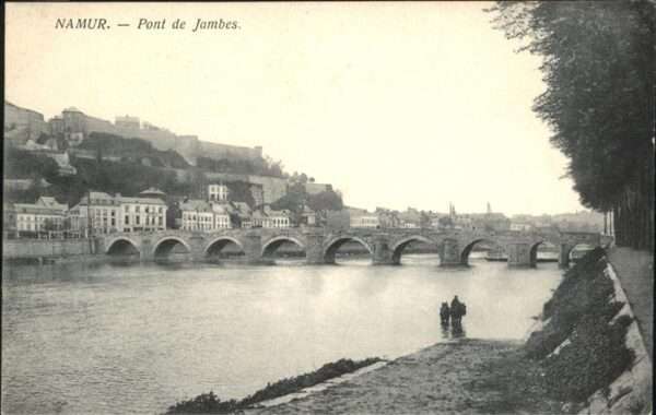 Namur Wallonie Pont Jambes Pferd