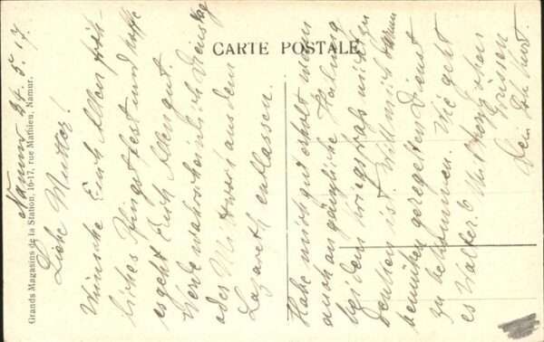 Namur Wallonie Pont Jambes Pferd – Bild 2