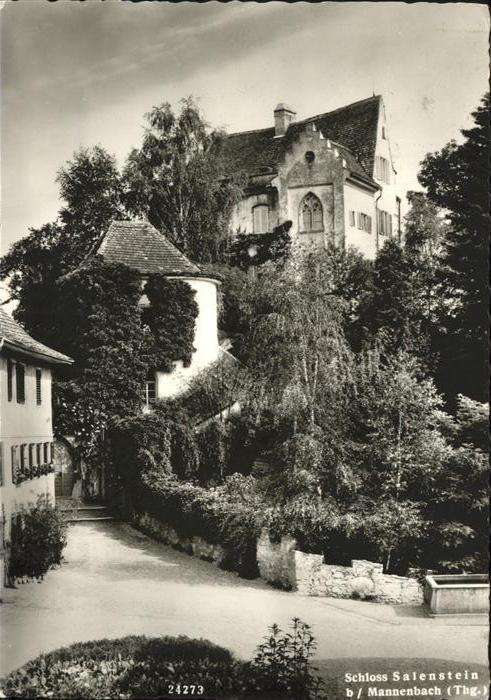 Salenstein Schloss