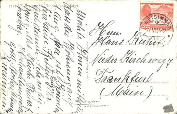 Weisimmen Panorama – Bild 2