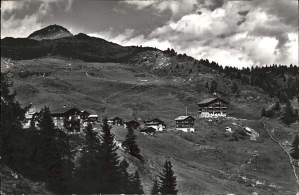 Bettmeralp Wurzenbord
