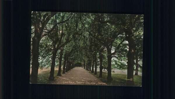 Oxford Oxfordshire Lime Walk
Trinity College