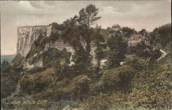 Seaton Delaval White Cliff