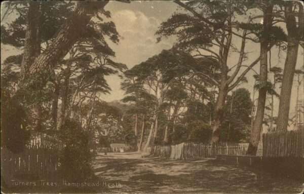 Hamptstead Turners Trees