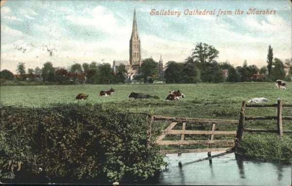 Salisbury Wiltshire Cathedral