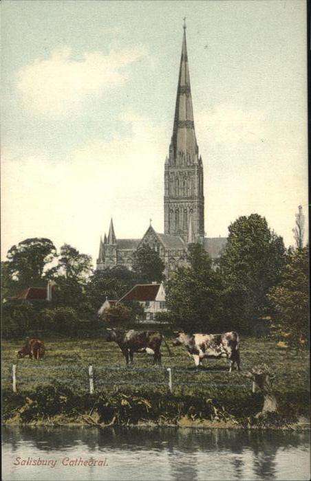 Salisbury Wiltshire Cathedral