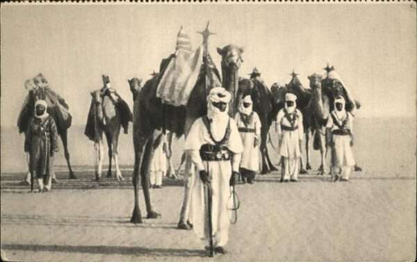 Kamel  Camel Chameau Meharistes
