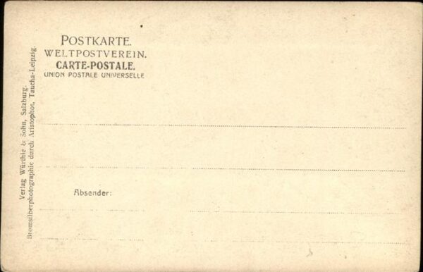 Kuehe – Bild 2