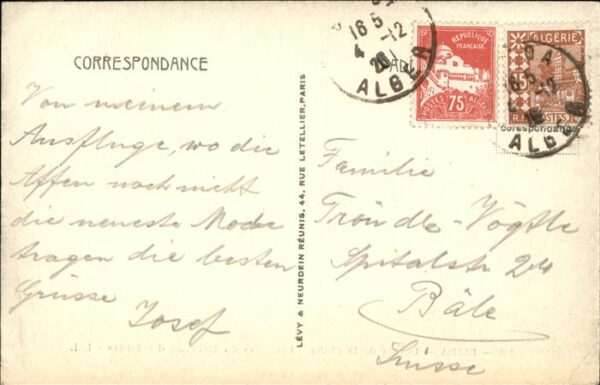 Affen Blida Gorges de la Chiffa – Bild 2