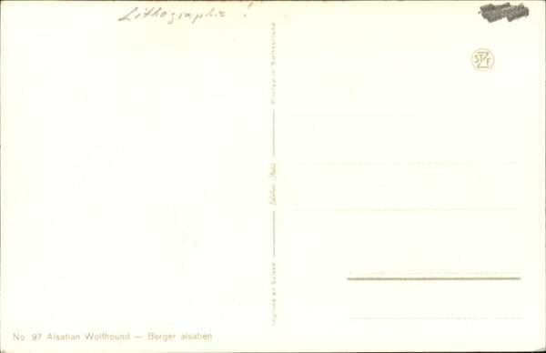 Schaeferhunde Lithographie – Bild 2
