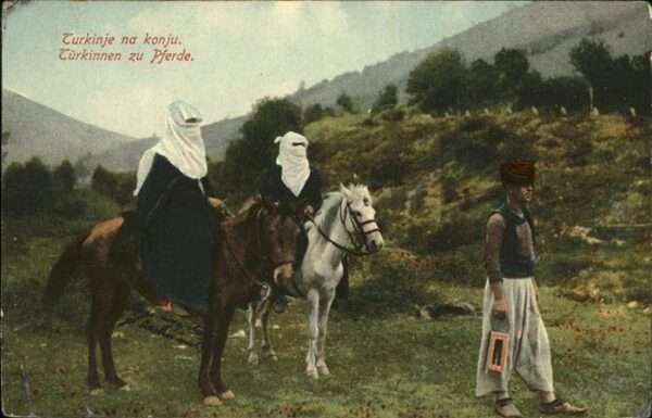 Tuerkei Turkey Pferde