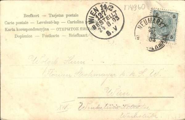 Trachten Zitter – Bild 2