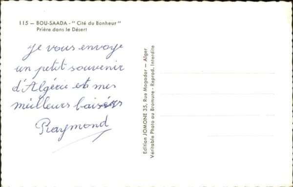 Kamel  Camel Chameau Bou Saada – Bild 2
