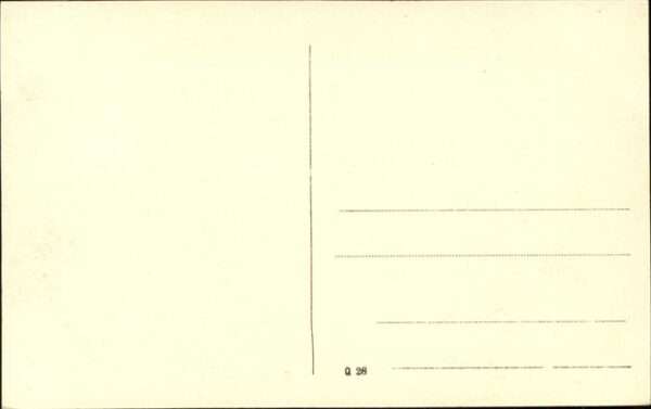 Renntier Schlitten – Bild 2