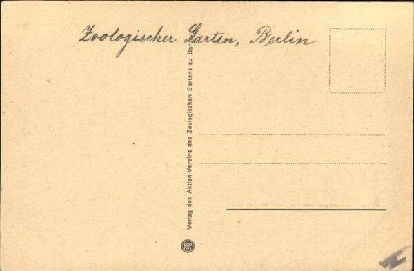 Eisbaer Zoo Berlin – Bild 2