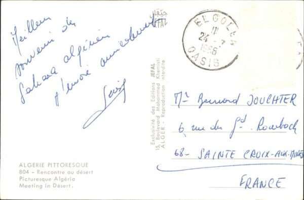 Kamel  Camel Chameau – Bild 2
