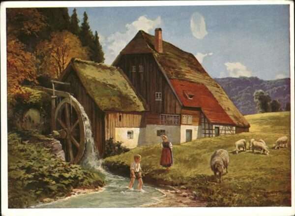 Muehlen Schwarzwald Schafe