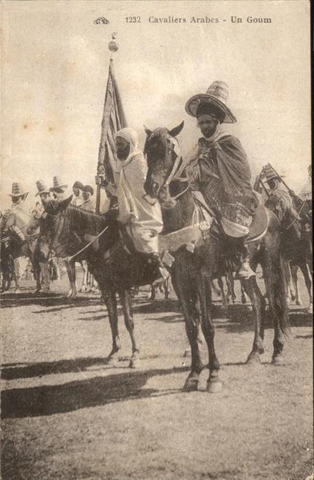 Araber Pferd
