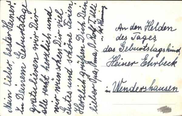 Schneider Bär – Bild 2