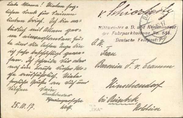 Pferde – Bild 2
