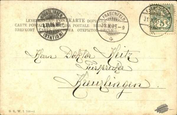 Pferde – Bild 2