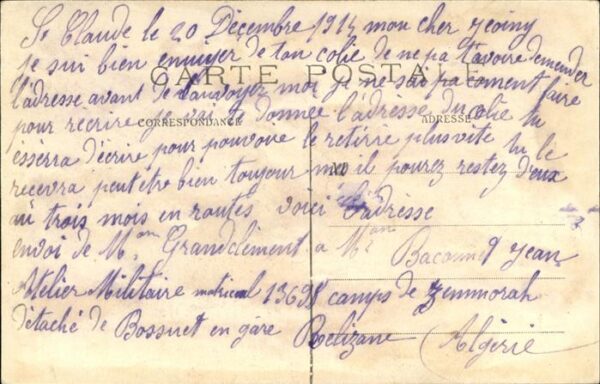 Generaele Pau Pferd – Bild 2
