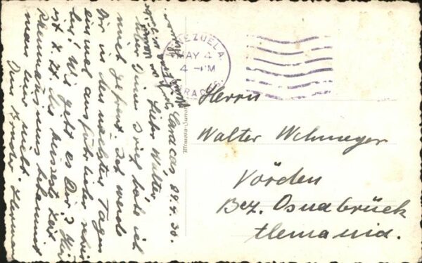 Kakteen – Bild 2