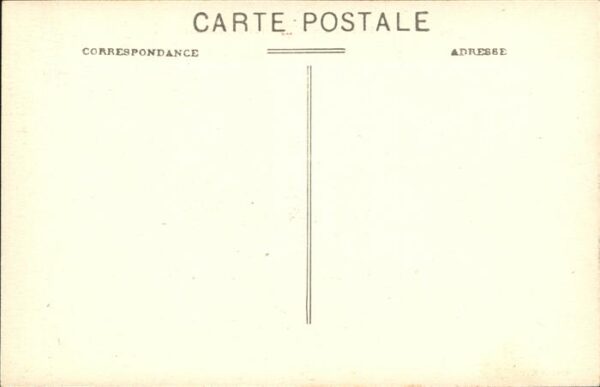 Kuehe Manade de taureaux – Bild 2