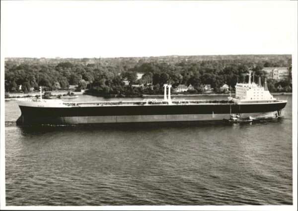 Schiffe Ships Navires TTS Diala