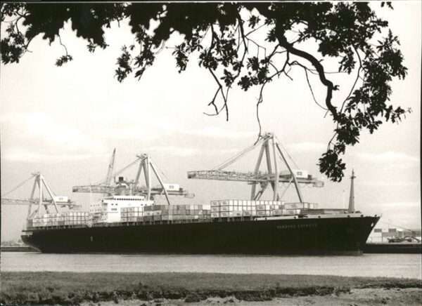 Schiffe Ships Navires TS Hamburg Express