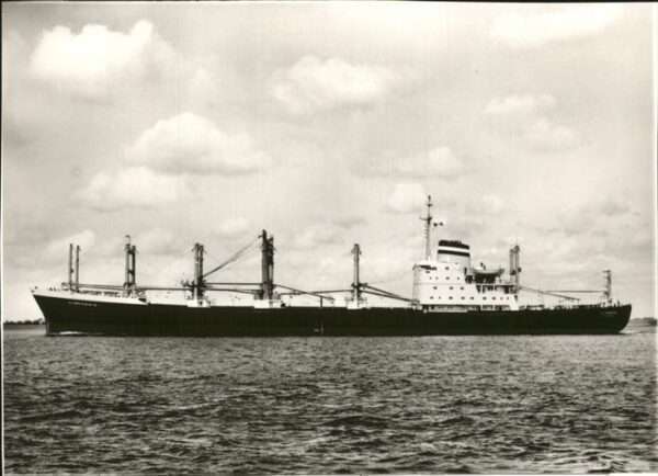 Schiffe Ships Navires MS Alemannia