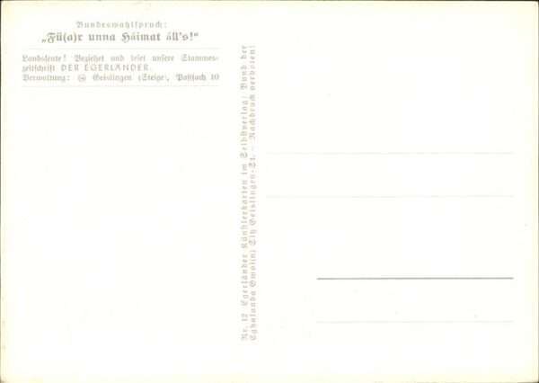 Pferde – Bild 2