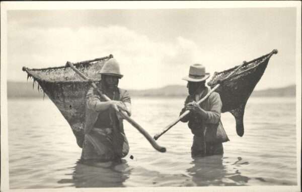 Fischerei Fischer