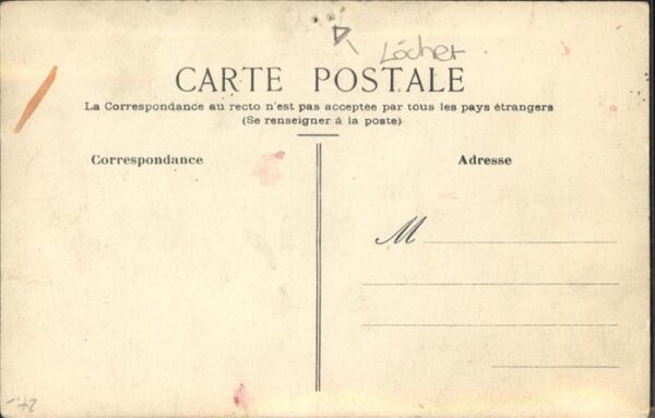 Pferde – Bild 2